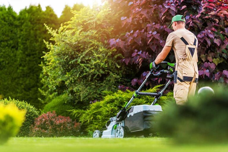 Landscaping photo from Adobe Stock