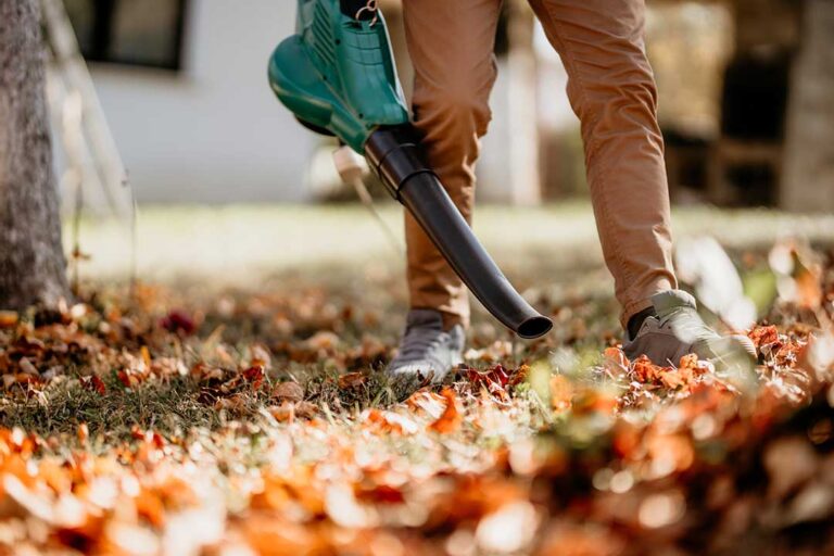 Landscaping photo from Adobe Stock